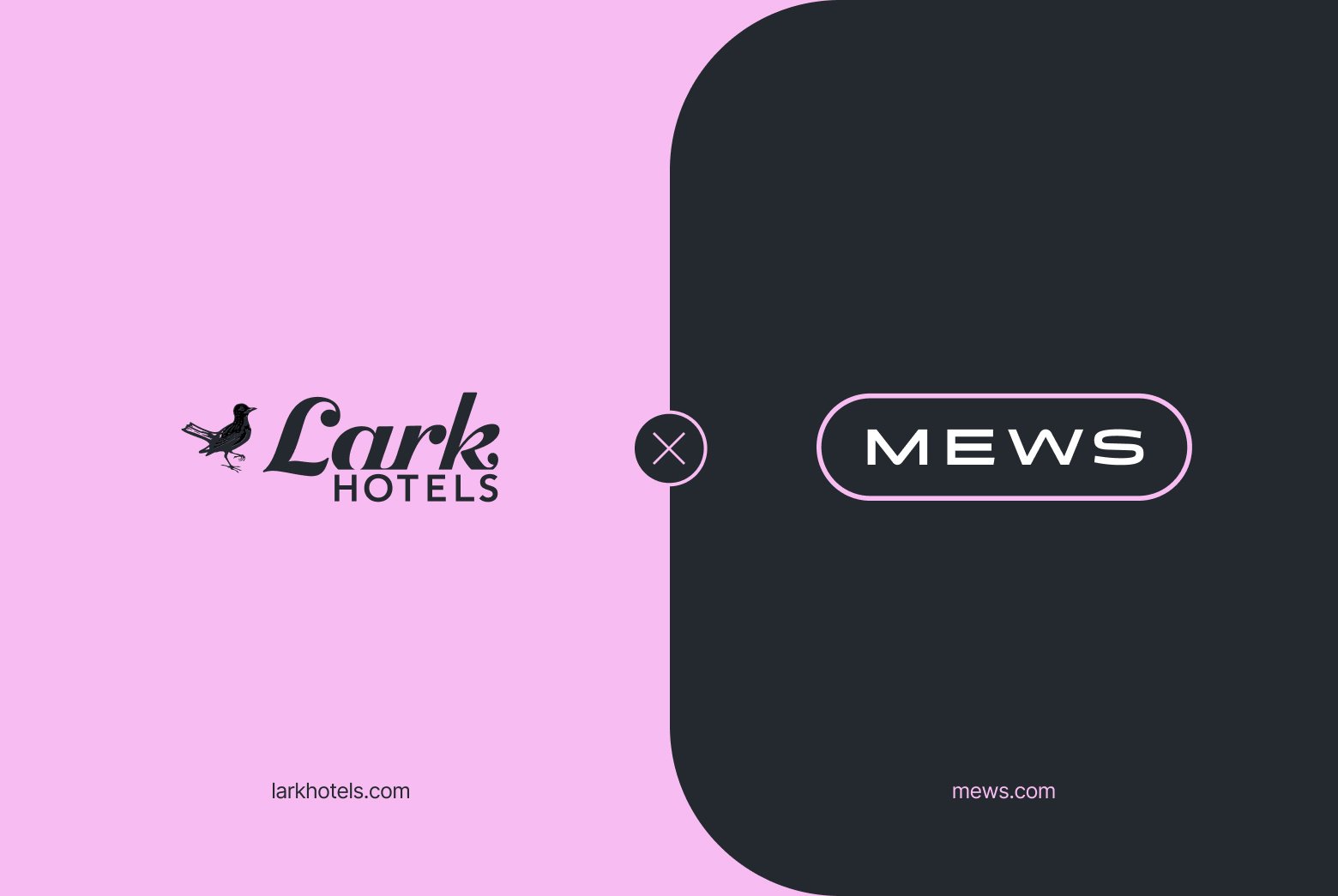 Mews_Lark_PR_2x